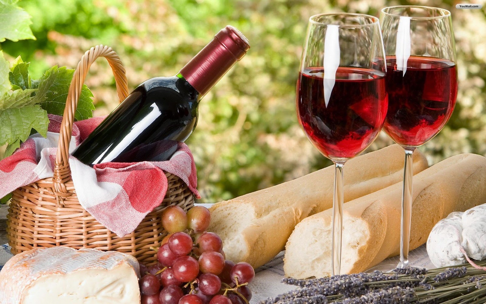 The best Benefit of Wine.You remain with the use of Red Wine You Are