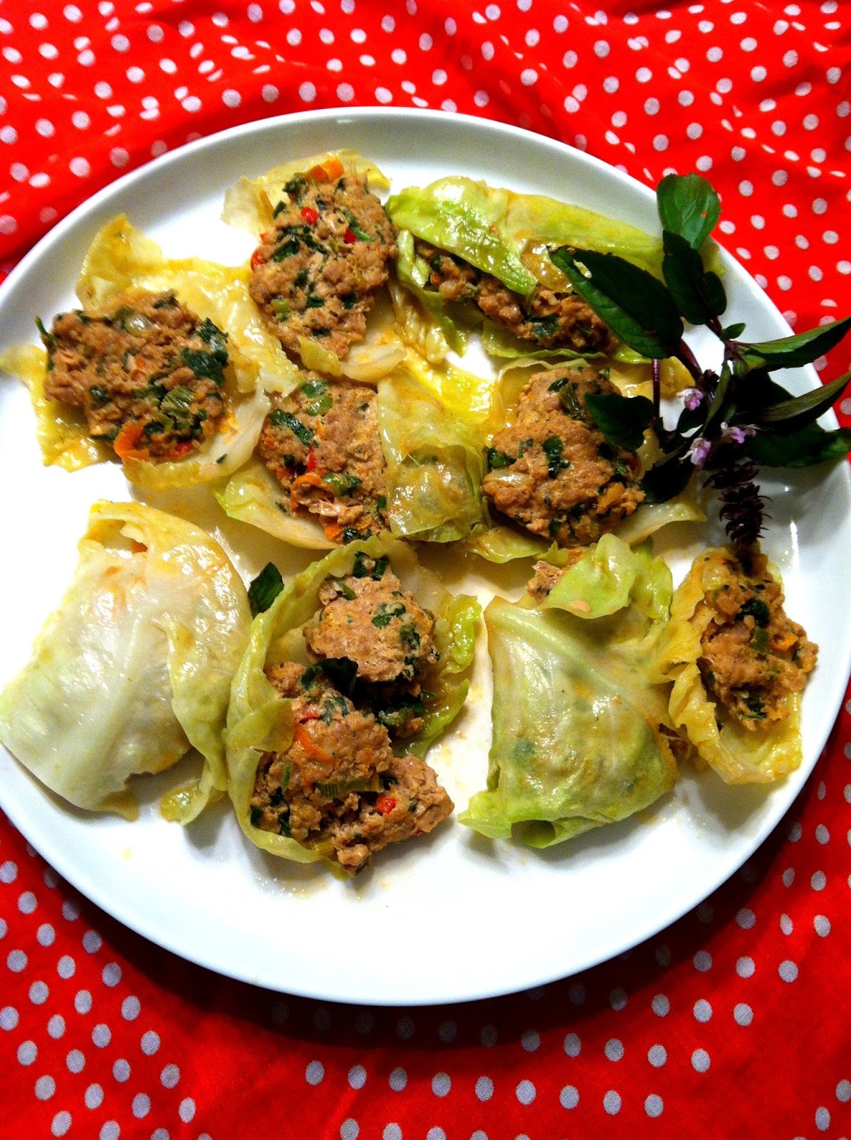 The Frugal Aesthetic Alternative Thai Dumplings Cabbage Wrapped