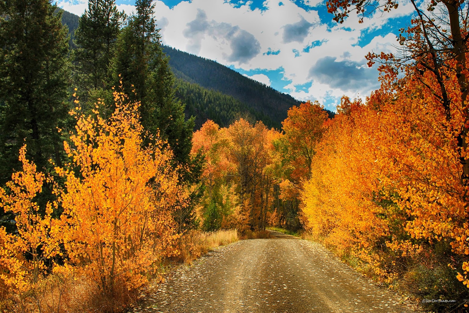 Central Salmon River, Idaho in Autumn