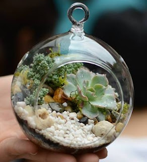 Terrarium