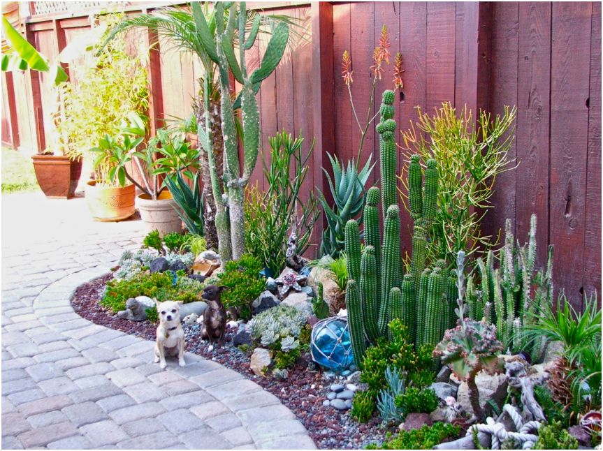 Liven Things Up....: Nadia's Ocean-themed succulent garden in California