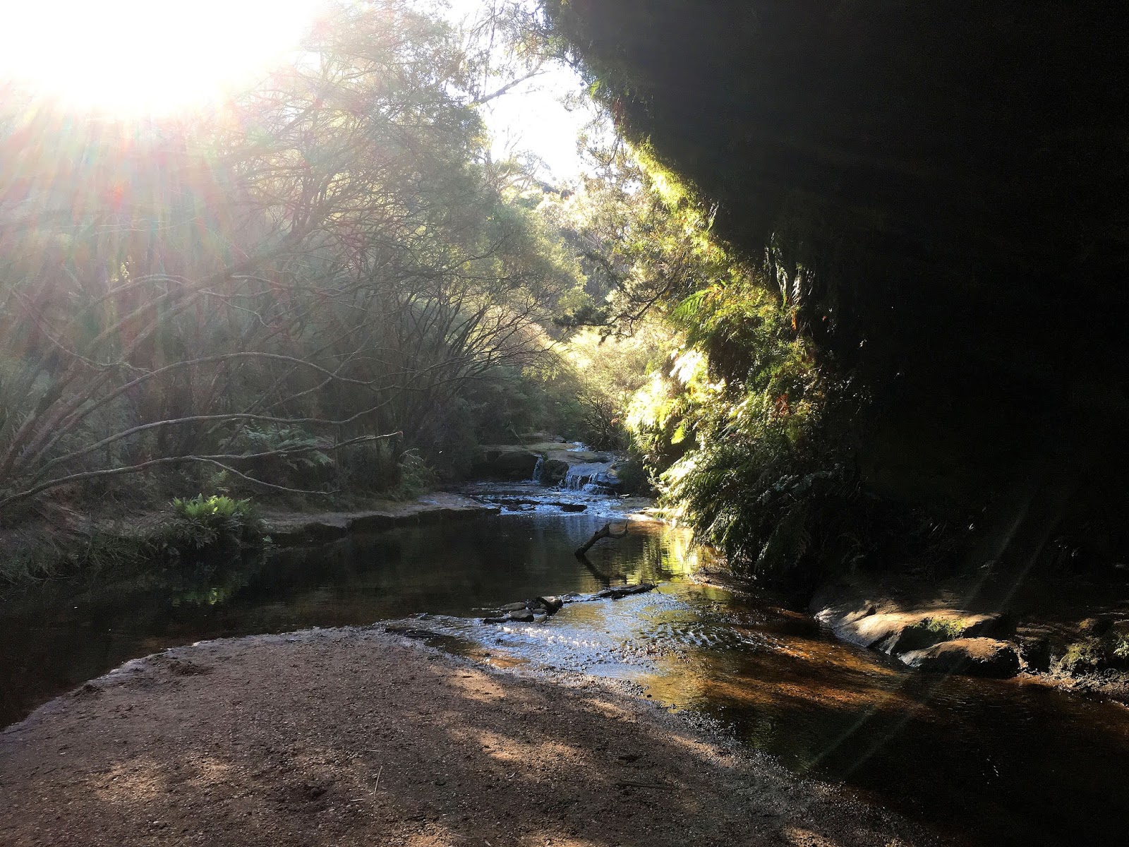 The National Pass track in the World Heritage listed Blue Mountains has been one of the most beautiful hiking trails I have seen. With the highest outdoor staircase and breathtaking views it's not to be missed!