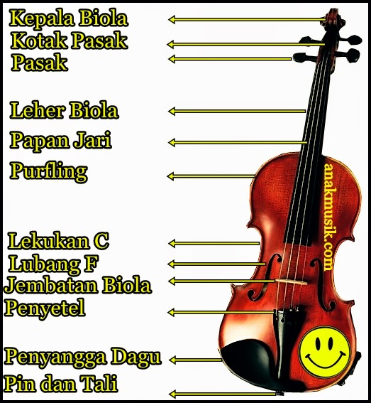 Mengenal 12 Bagian Tubuh Biola Mengenal 12 Bagian Tubuh Biola