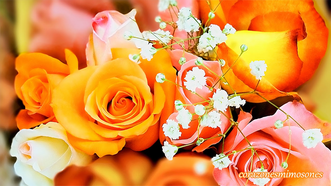 Wallpaper-Rosas-900-39