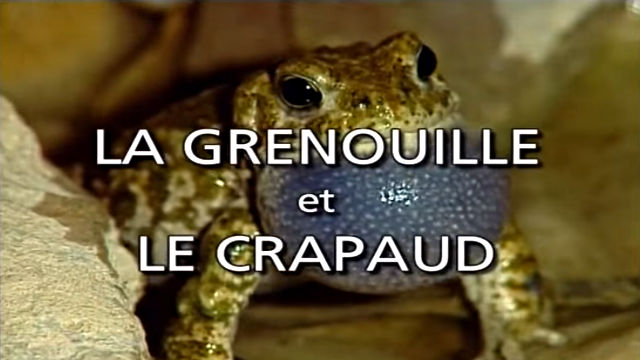 La Grenouille et le Crapaud - Documentaire Animalier VF