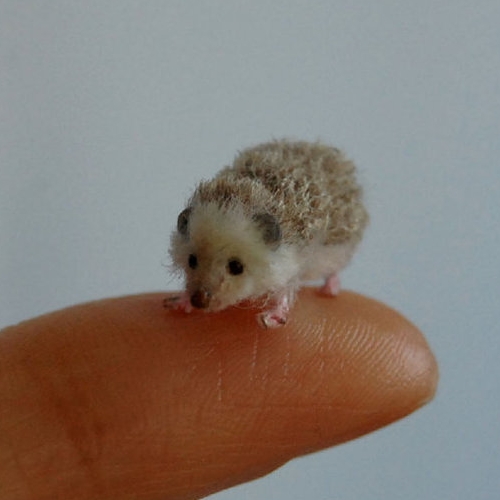 22-Hedgehog-ReveMiniatures-Miniature-Animal-Sculptures-that-fit-on-your-Hand-www-designstack-co