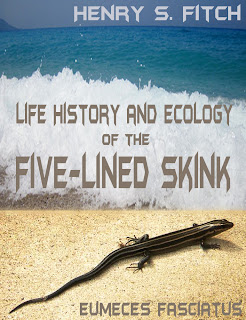 life, history, ecology, five-lined, skink, eumeces, fasciatus