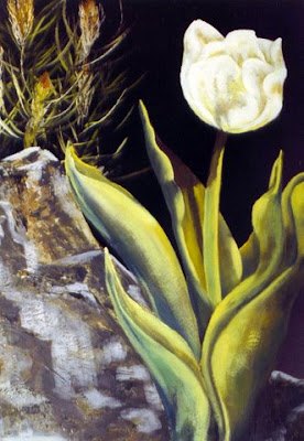 ~ White Tulip ~   Oil on canvas 24 x 30, 1976  Collector not recorded. Timeless Expression by Maguire