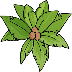 tree palm clipart treetop above graphic grab outage techy winner tuesday power terms please using before read dumielauxepices