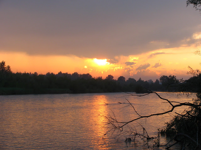 Прут у Заболотові
