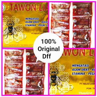 Kapsul jamu tawon liar asli kualitas 1 kemasan tahun 2019 Jual jamu tawon liar di madura, bangkalan, sampang, pamekasan, sumenep