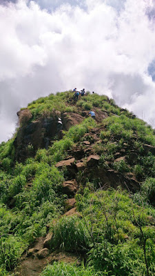 trek menuju puncak trek menuju puncak