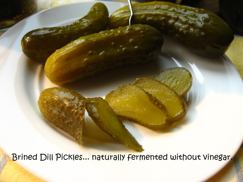 Home Cooking In Montana Brined Dill Pickles (naturally fermented without vinegar)... Romanian