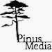 Pinus Media