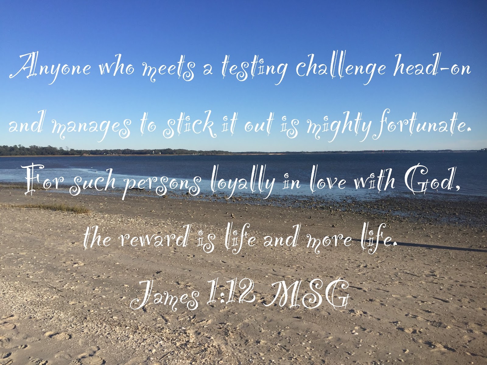 My strength james 1 12 we won t be shaken 