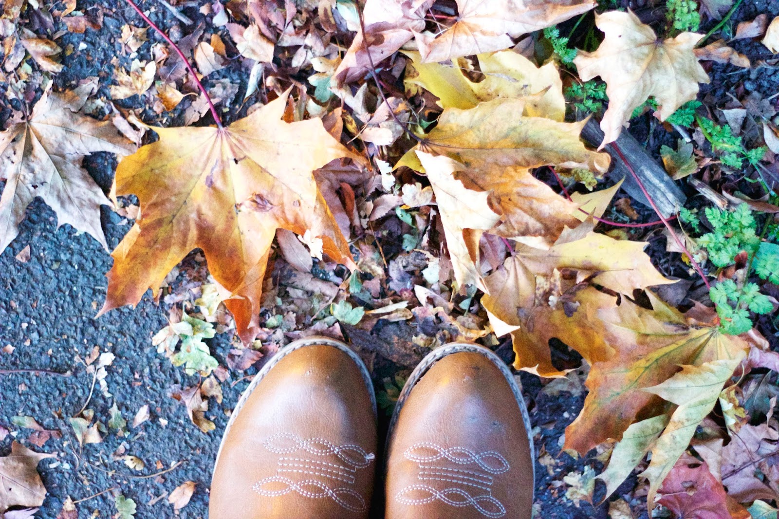 ©Katiewrites.co.uk Leaves, Boots, Asda George Boots, Autumn, Katie Writes Blog, Katie Writes,
