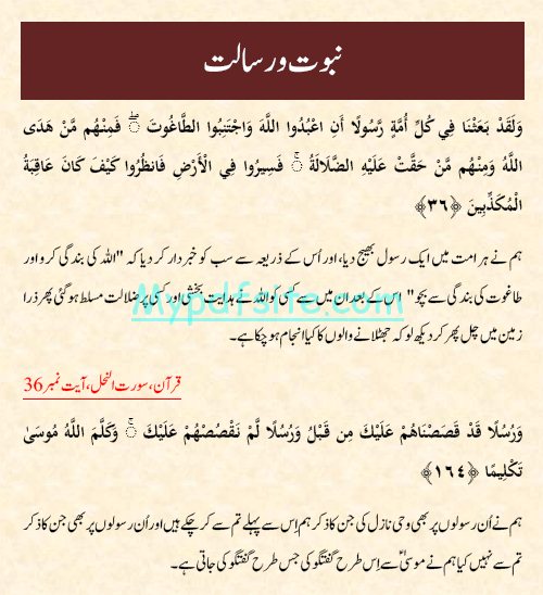 risalat essay in urdu
