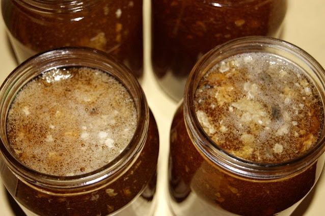 Two Jars of Honey with Impurities Floating on Top Image