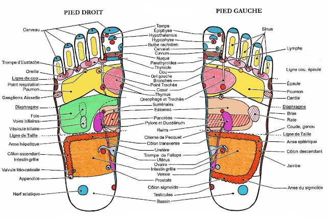 Modèle Original Page De Garde Reflexologie Plantaire Valerie.D Reflexologie Plantaire: Qu'est ce que la Reflexologie Plantaire