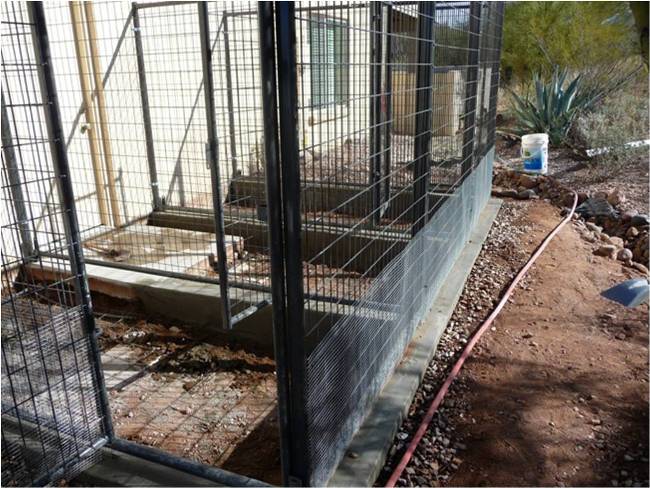 petsafe-kennels-how-to-build-your-own-dog-kennel-or-dog-run
