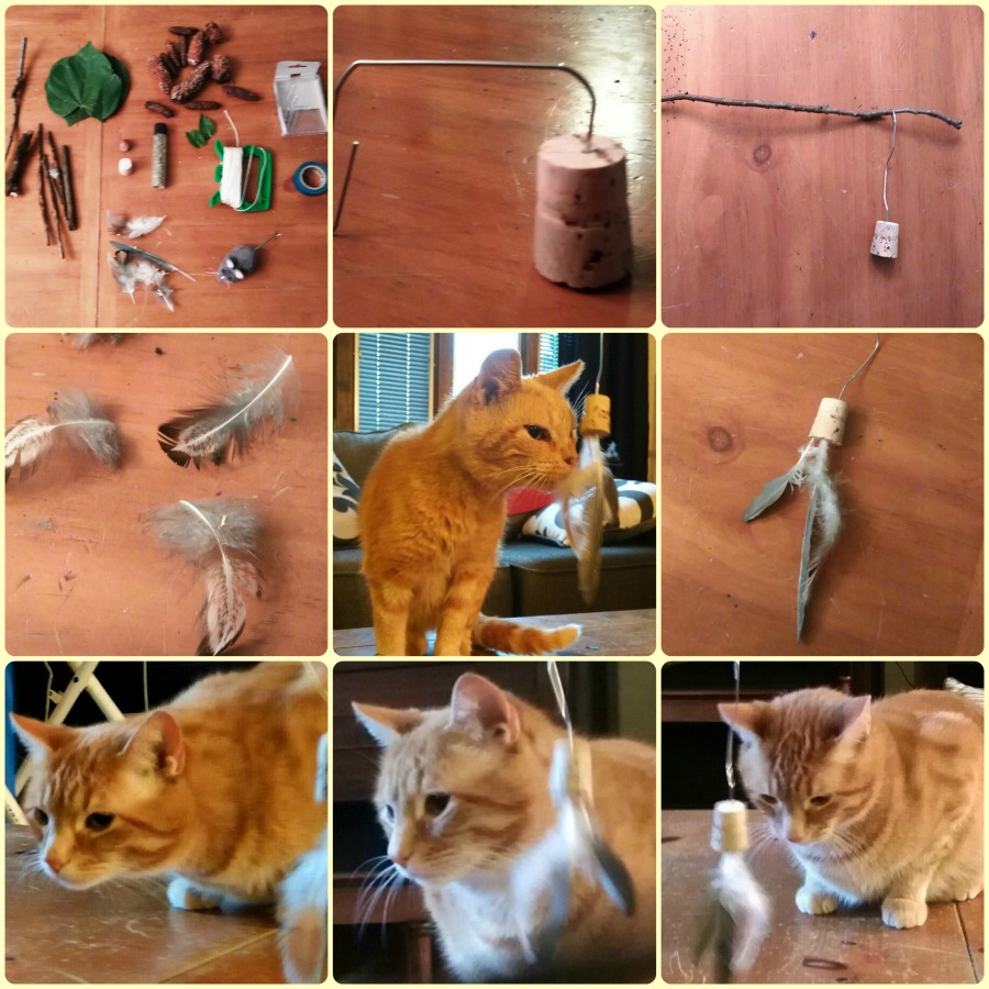 diy cat toys