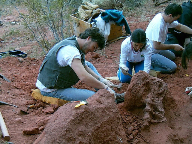 New Patagonian predator sheds light on mysterious meat-eating dinosaur group New Patagonian predator sheds light on mysterious meat-eating dinosaur group