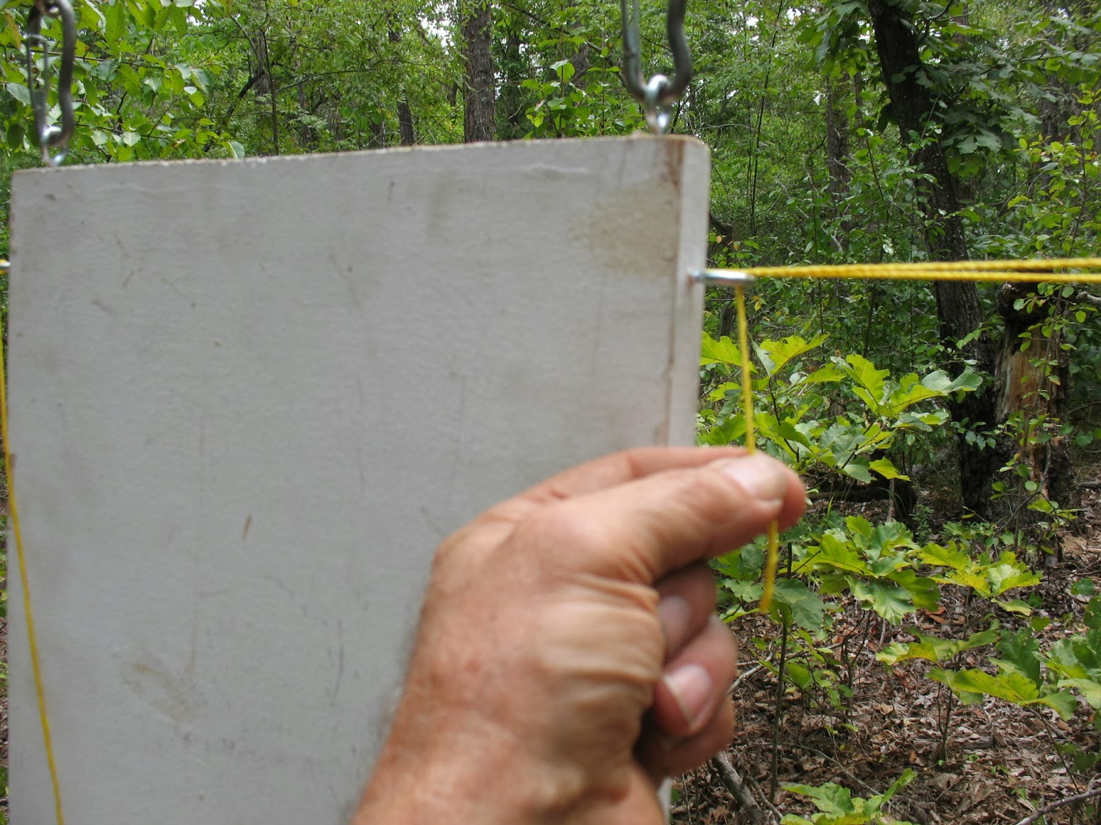 Sensible Survival: Build a Moving Target for Your Shooting Range