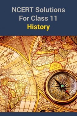 NCERT solutions for class 11 history