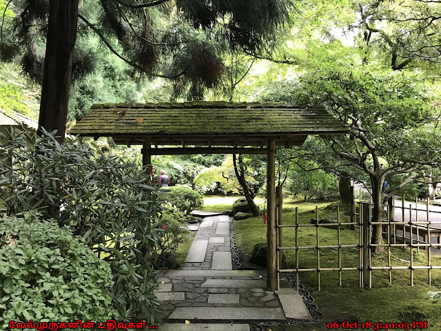 Japanese Garden Portland