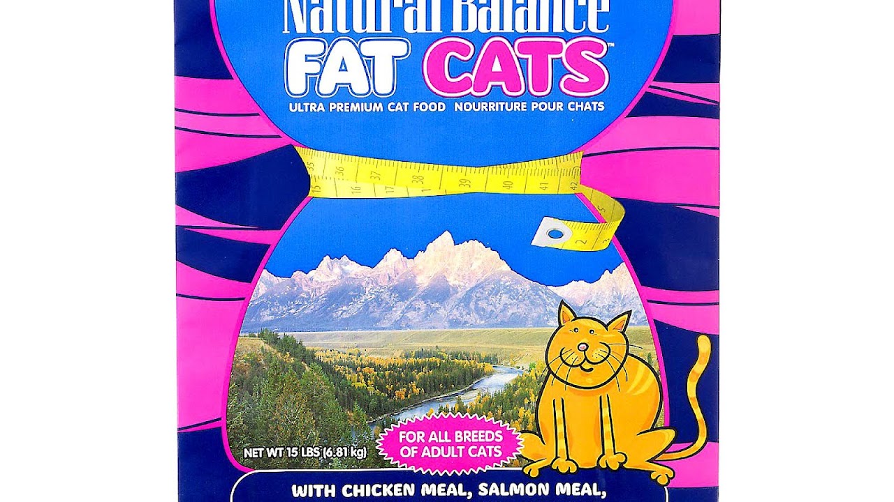 Cat Food Names Cat Choices