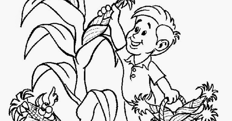 Sketsa Petani Menggambar Mewarnai Petani Menanam Untuk Anak Youtube - Riset