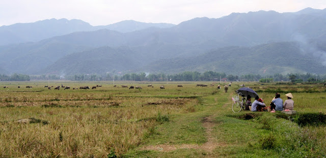 Retour à Diên Biên Phu, les collines des combats IMG_0943