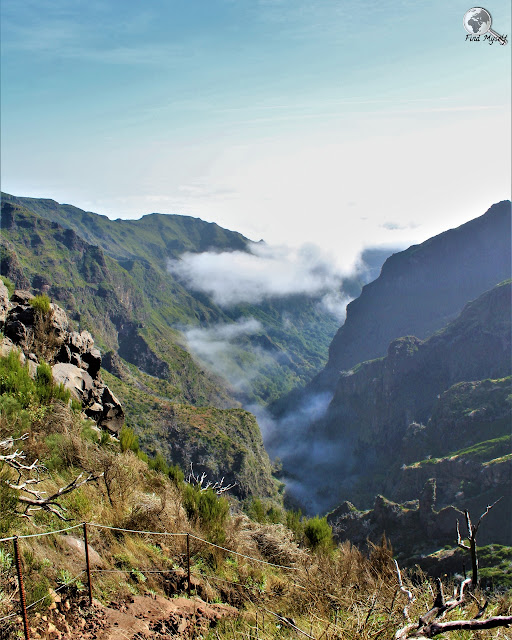 Pico Ruivo, Madera