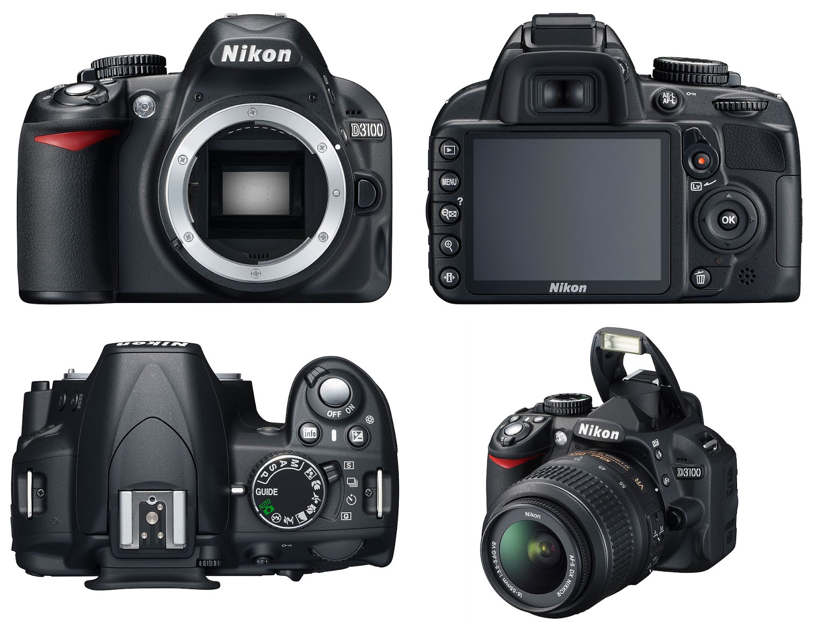 Offerte e Sconti su fotocamere Canon e Nikon su Amazon Offerte e Sconti su fotocamere Canon e Nikon su Amazon