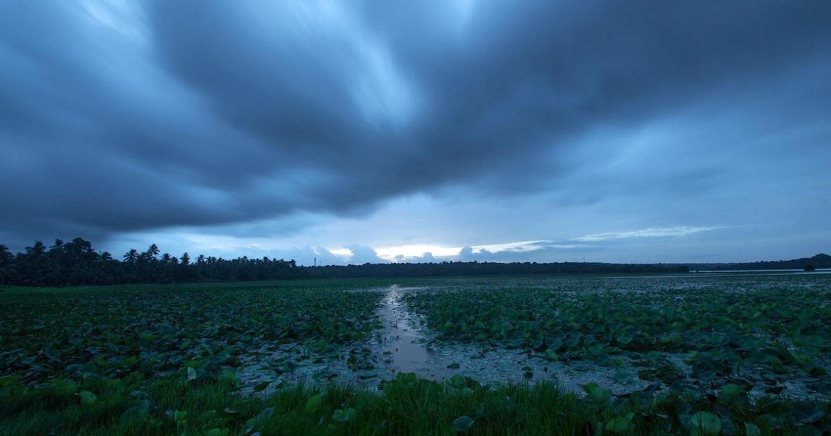 monsoon ladies shawls