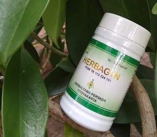 HERBAGYN NASA Obat Kolesterol, Penurun Darah Tinggi Paling Ampuh HERBAGYN NASA Obat Kolesterol, Penurun Darah Tinggi Paling Ampuh