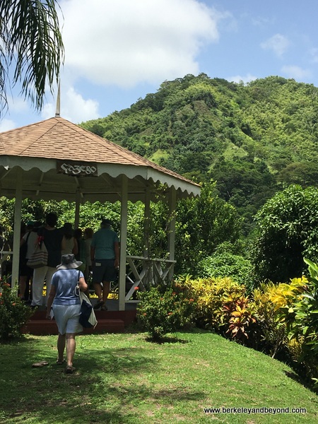 tour at Tobago Cocoa Estate in Rosborough, Tobago tour at Tobago Cocoa Estate in Rosborough, Tobago