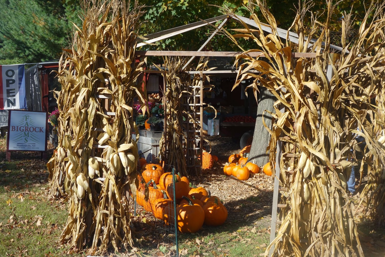 The Passionate Foodie Farm Stand in Hudson Valley Big Rock Farms