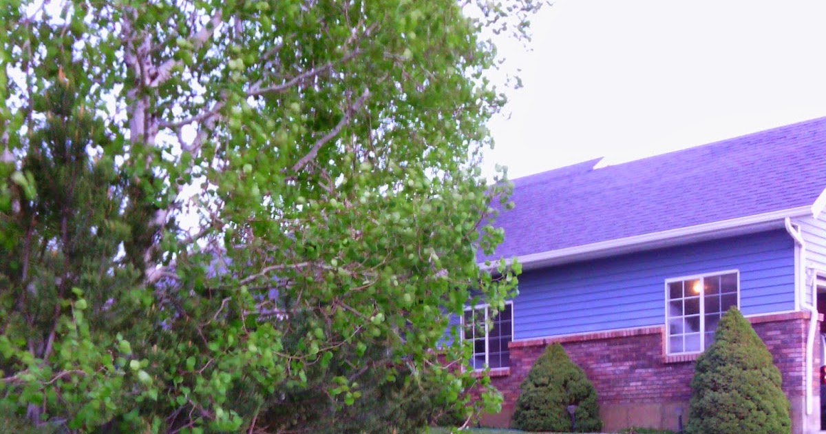 Blue Hill Books About Blue Hill