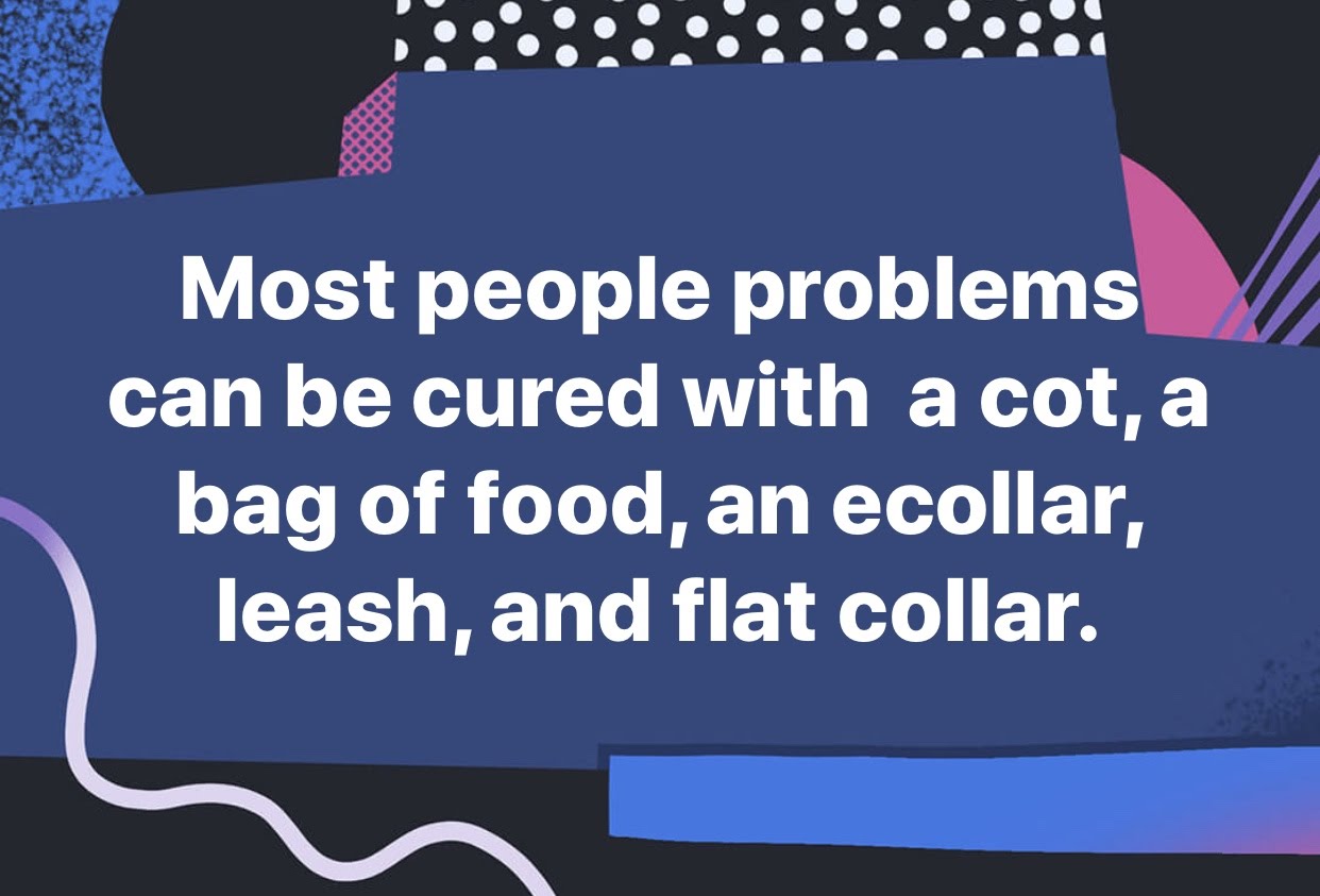 Terrierman's Daily Dose Cheese and Choke Chains