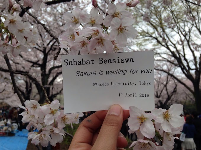 April, Sahabat Beasiswa, and Cherry Blossom