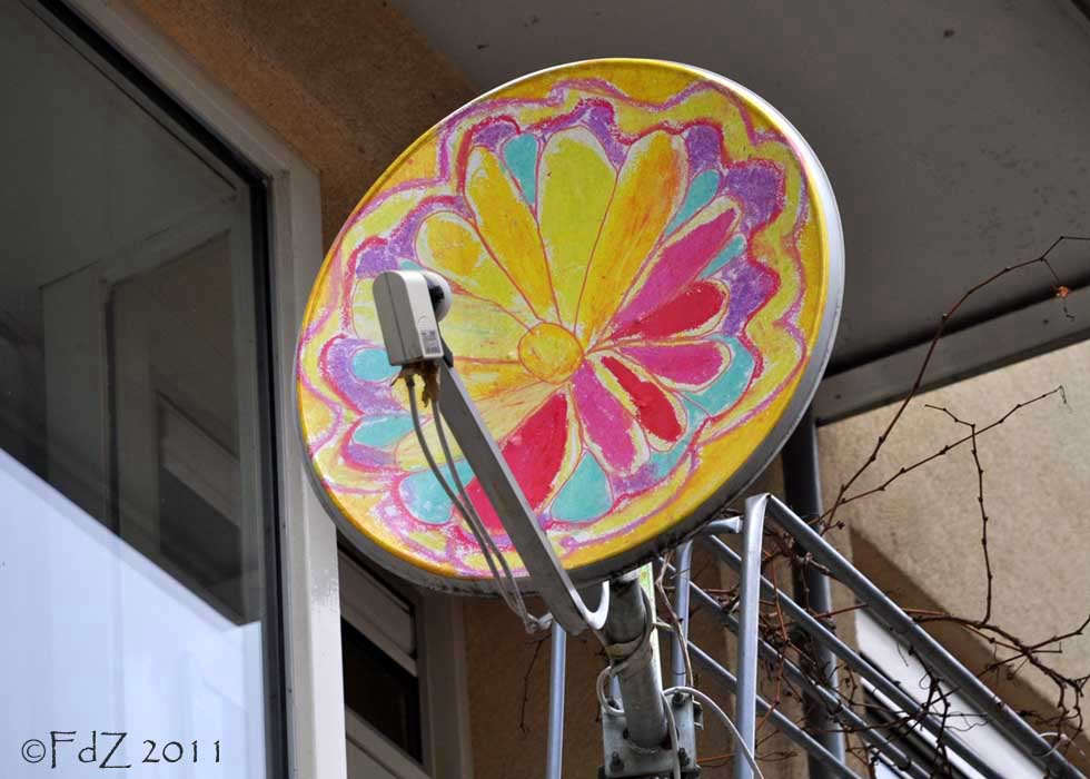 View thru My Global Lens Painted Dishes