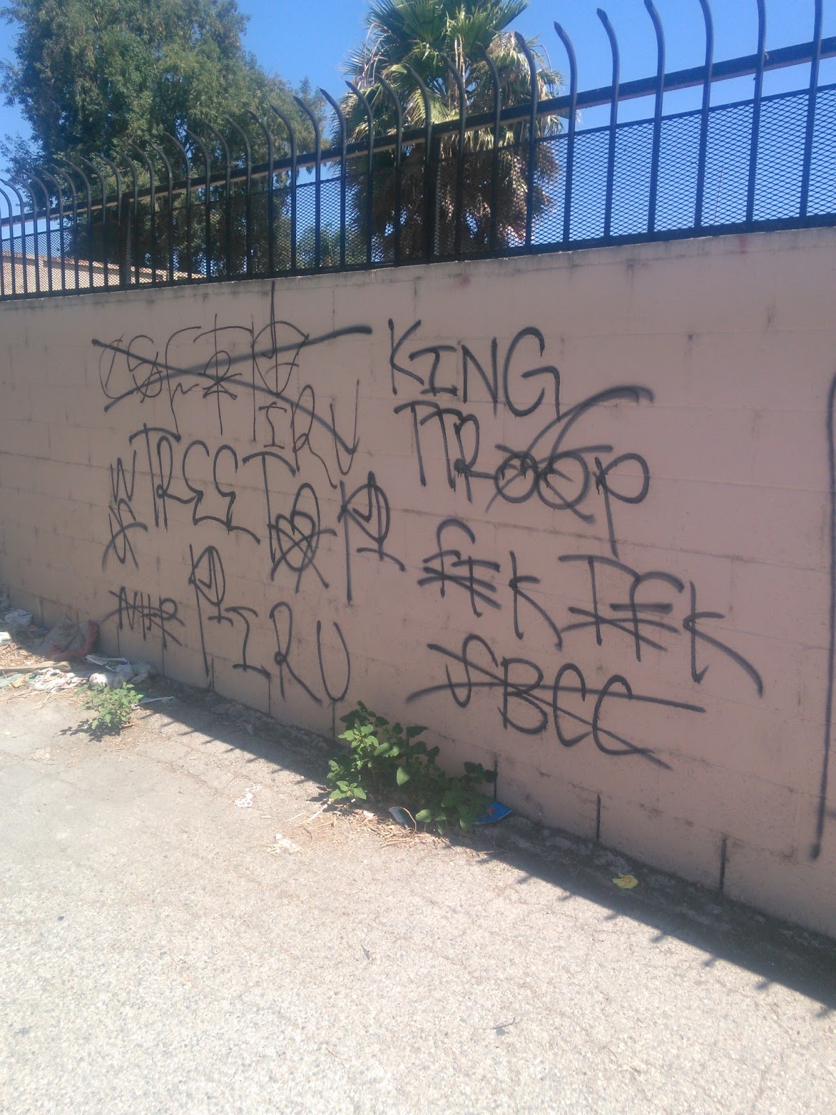 Rollin 30S Piruforum Create Topic - tmonicu