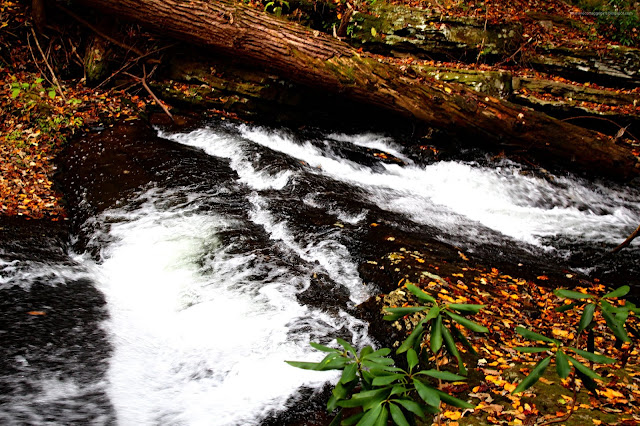 Waterfalls, Hiking, Nature, Fall Leaves