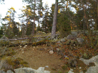 Promenad%2Bkallt%252C%2Bklart%252C%2Bljust%2Boch%2Bsk%25C3%25B6nt%2B%25282%2529 - Kallt, klart, ljust och skönt