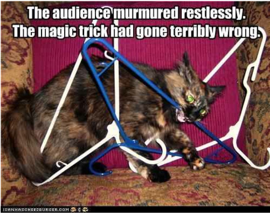 Magic Trick Goes Wrong magic trick