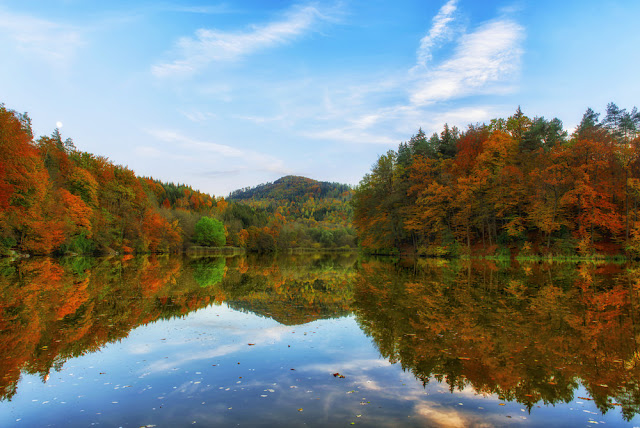 ���� ���� ������ �� ���� ������