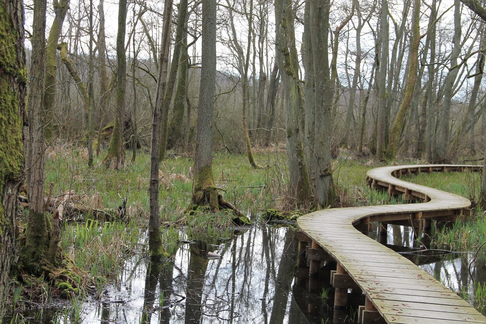 Vandringsløse tidende: april 2016
