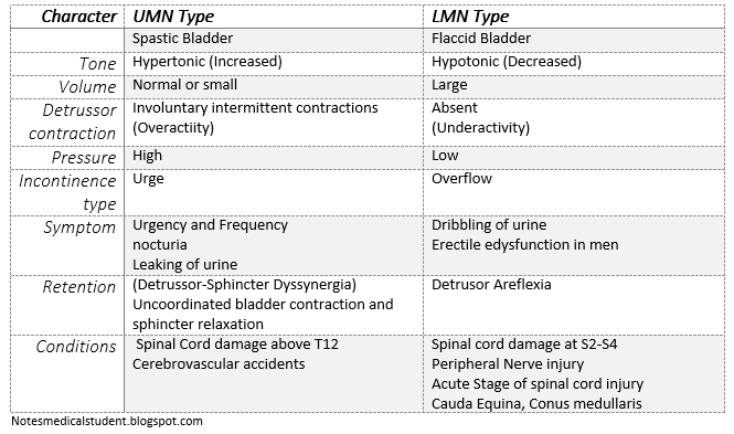 My Notes Its How I Graduated Medical School Neurogenic Bladder Umn Vs Lmn Physiology Made Easy
