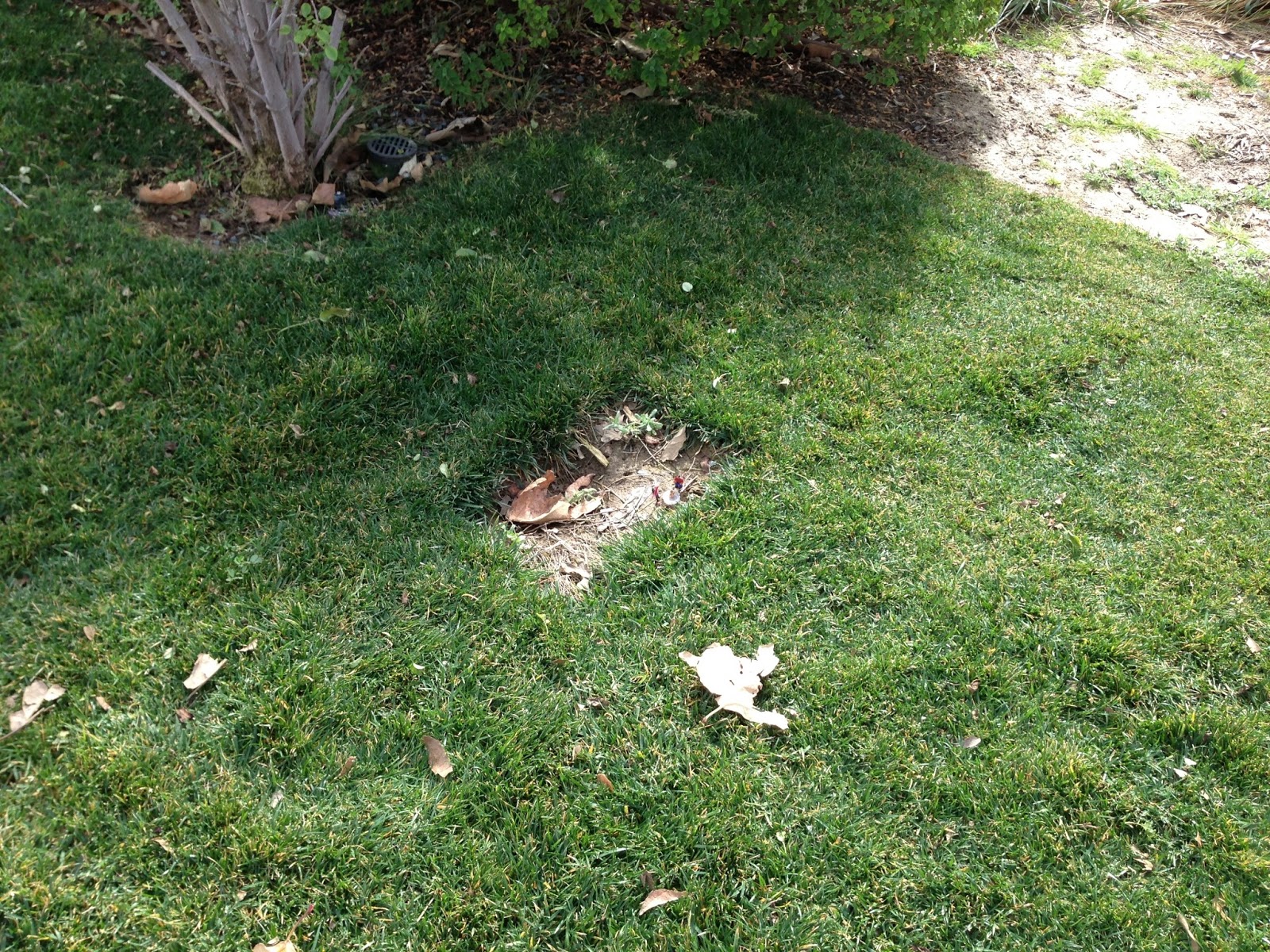 Scenes of War Agent Orange Story